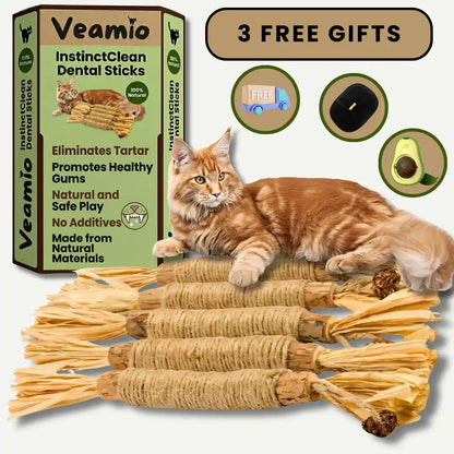 Veamio™ InstinctClean Dental Sticks