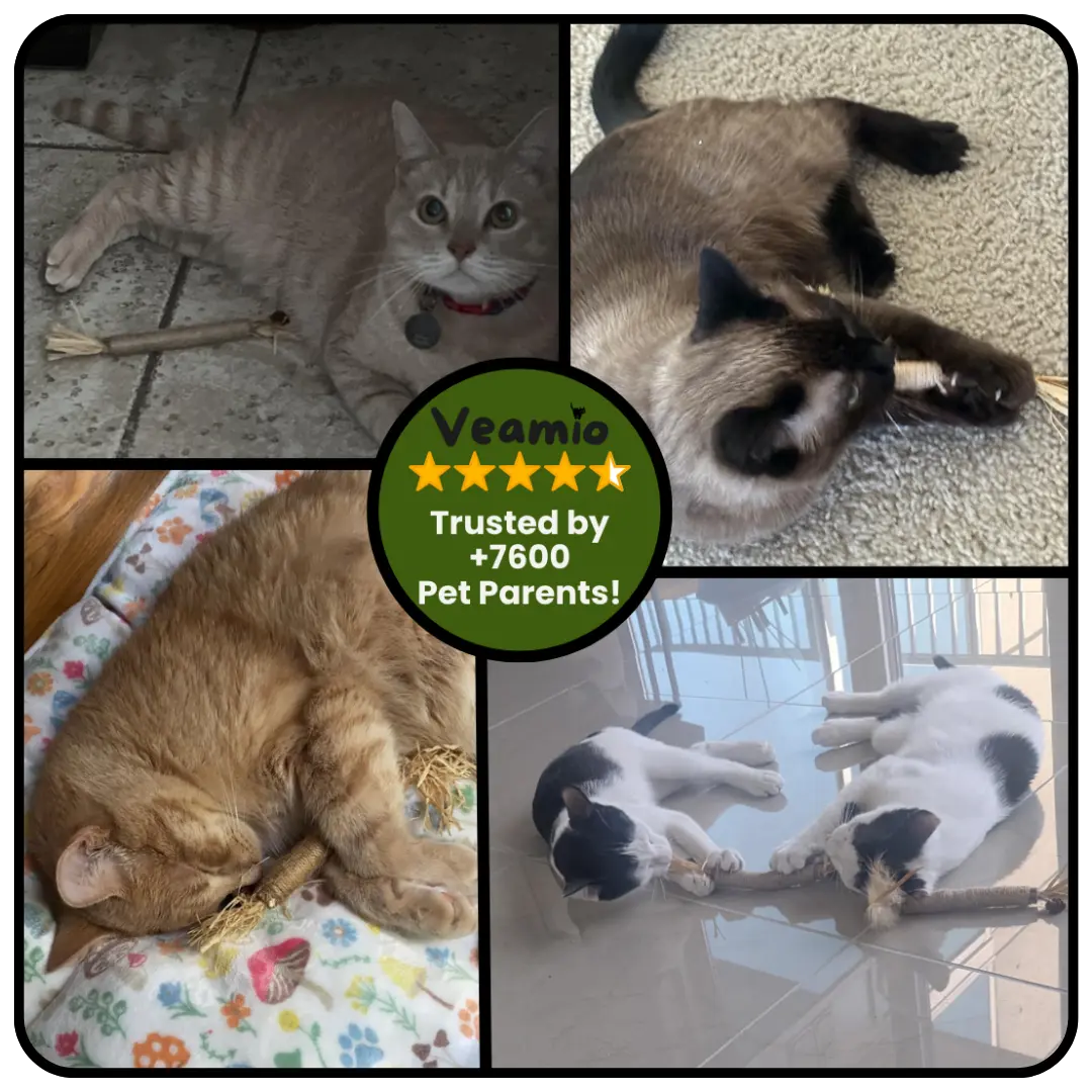 Veamio™ InstinctClean Dental Sticks