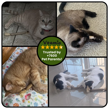 Veamio™ InstinctClean Dental Sticks