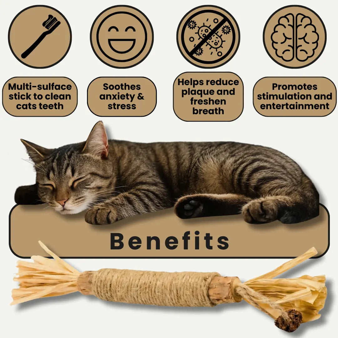 Veamio™ InstinctClean Dental Sticks