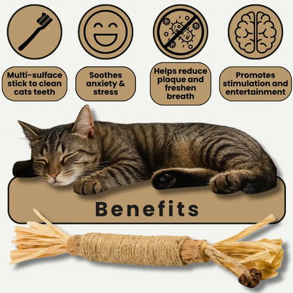 Veamio™ InstinctClean Dental Sticks