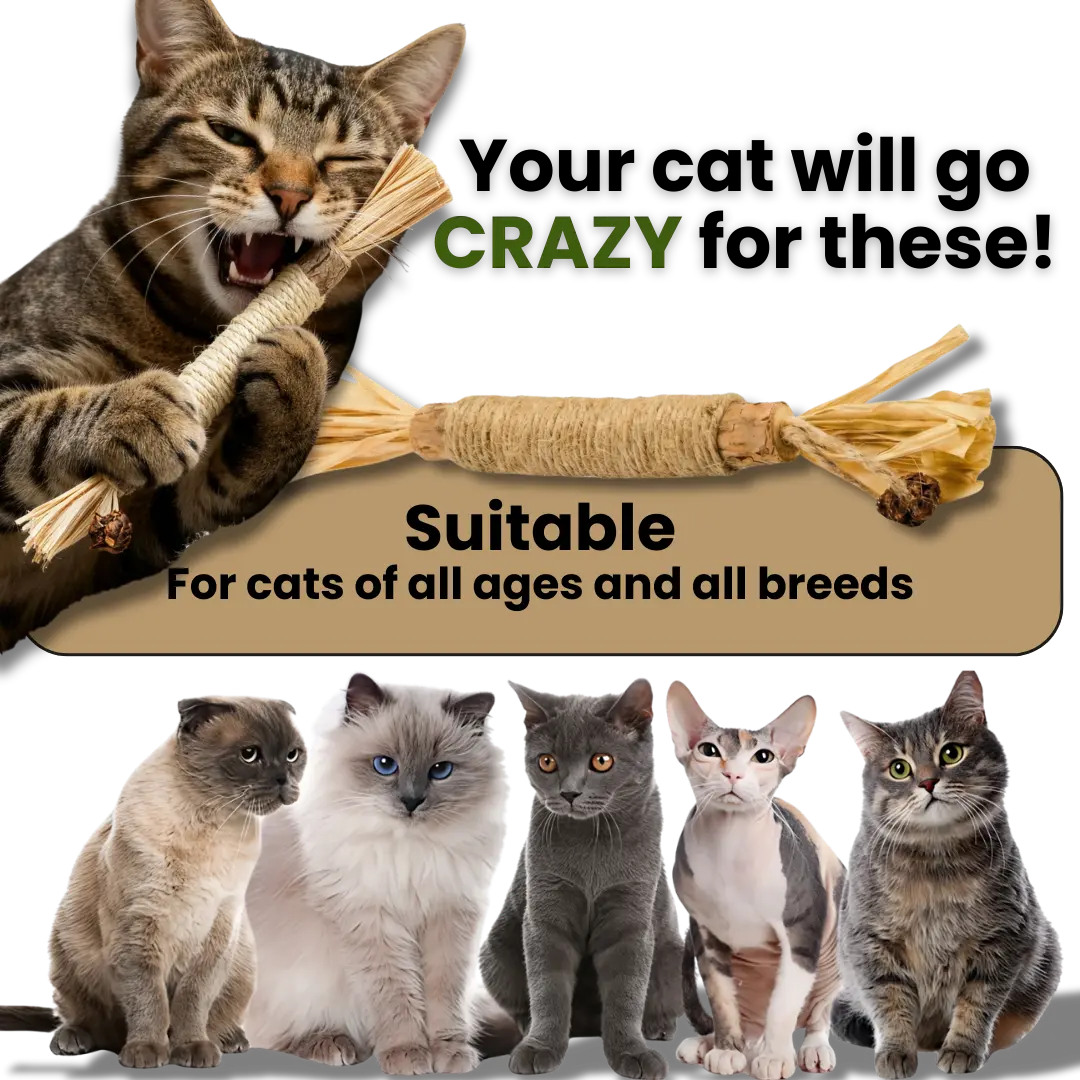 Veamio™ InstinctClean Dental Sticks