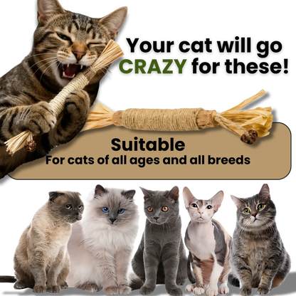 Veamio™ InstinctClean Dental Sticks