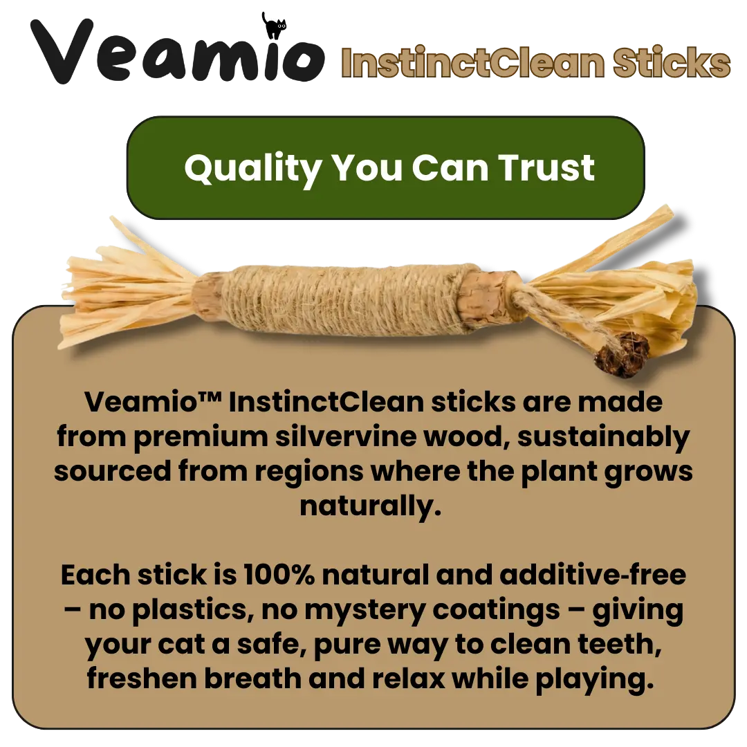 Veamio™ InstinctClean Dental Sticks
