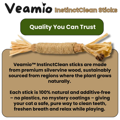 Veamio™ InstinctClean Dental Sticks